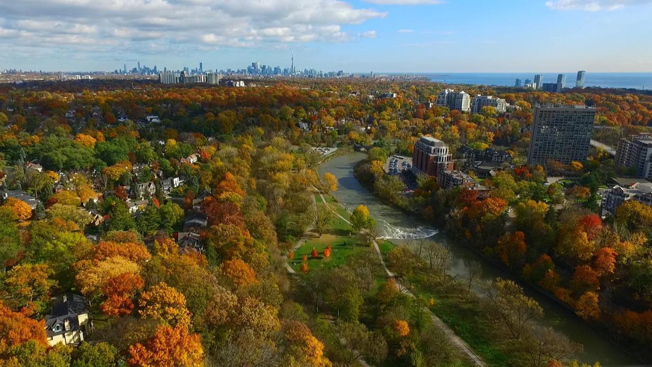 Salmon Magwood Guesthouse Торонто Екстер'єр фото